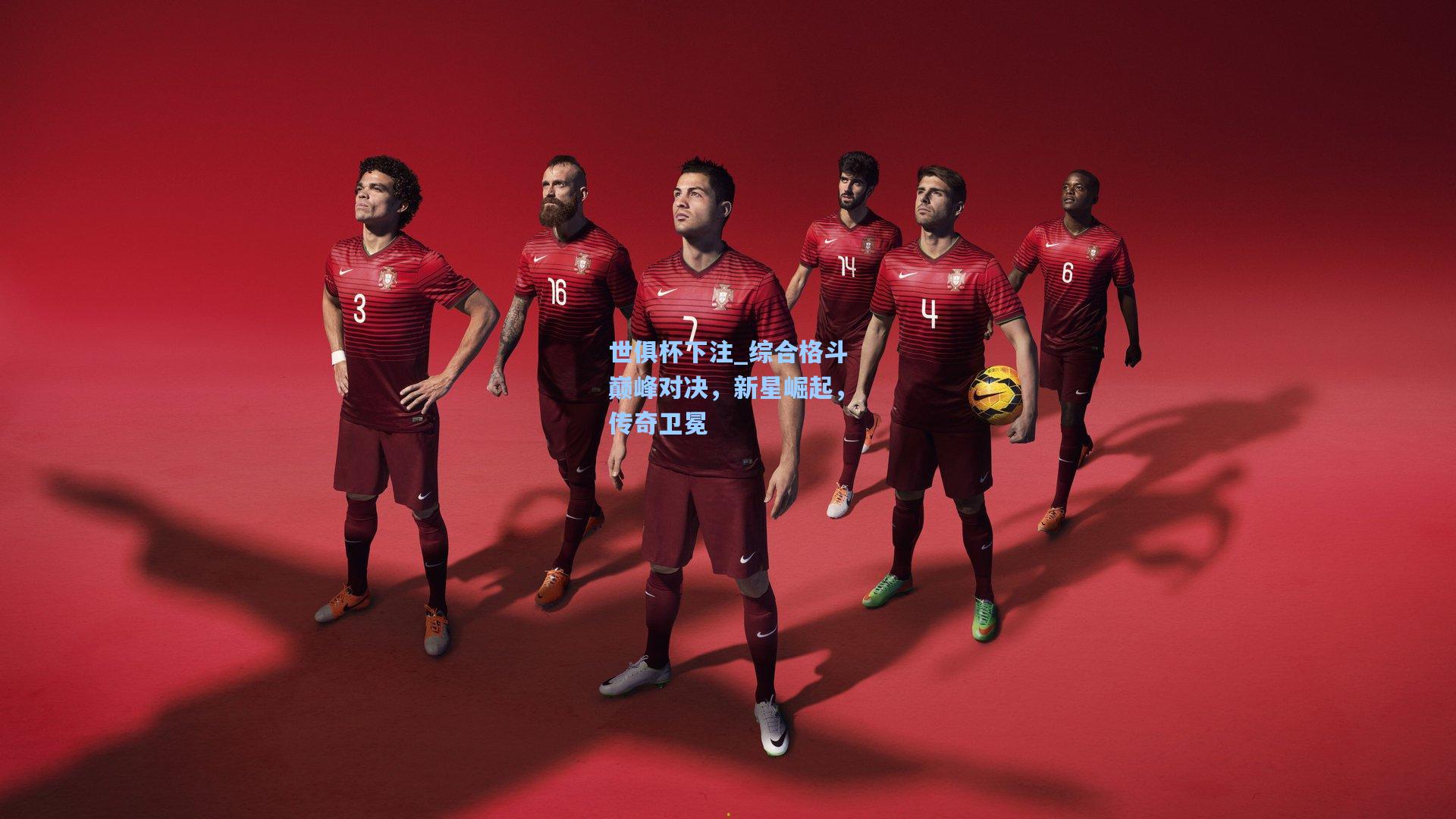 综合格斗巅峰对决，新星崛起，传奇卫冕