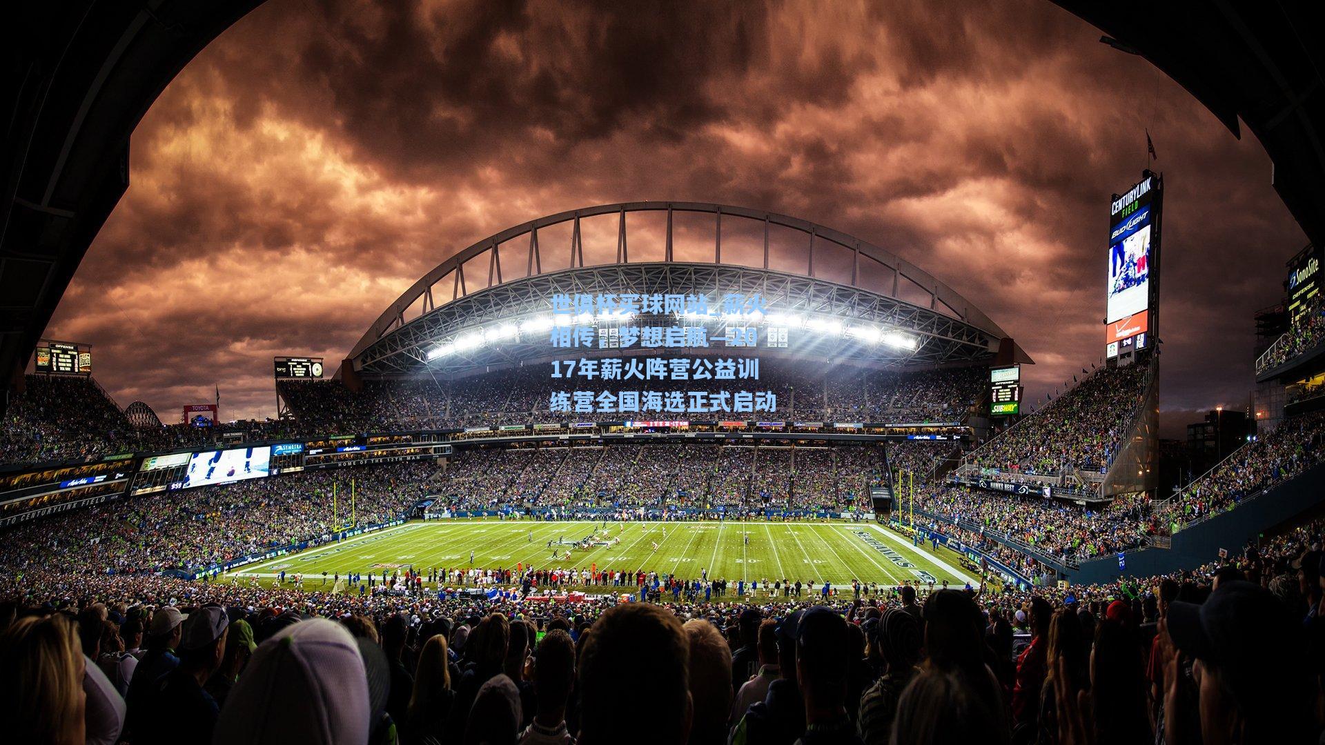 薪火相传，梦想启航—2017年薪火阵营公益训练营全国海选正式启动